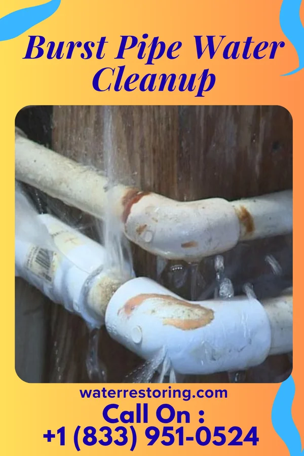 Burst Pipe Water Cleanup in Caledonia, IL