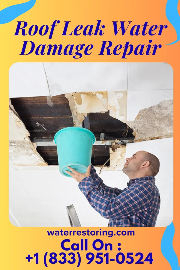 Roof Leak Water Damage Repair in Caledonia, IL