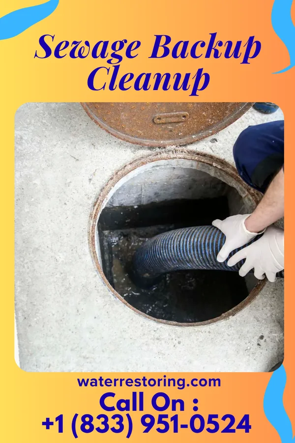 Sewage Backup Cleanup in Caledonia, IL