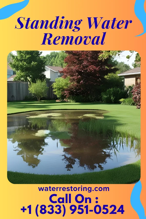 Standing Water Removal in Caledonia, IL